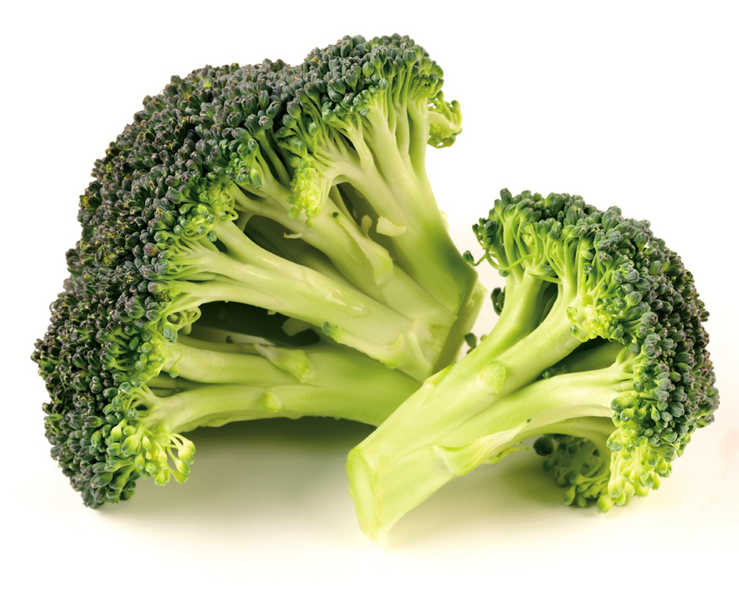 brokolinin faydaları