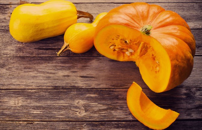 bal kabağı meyvesi