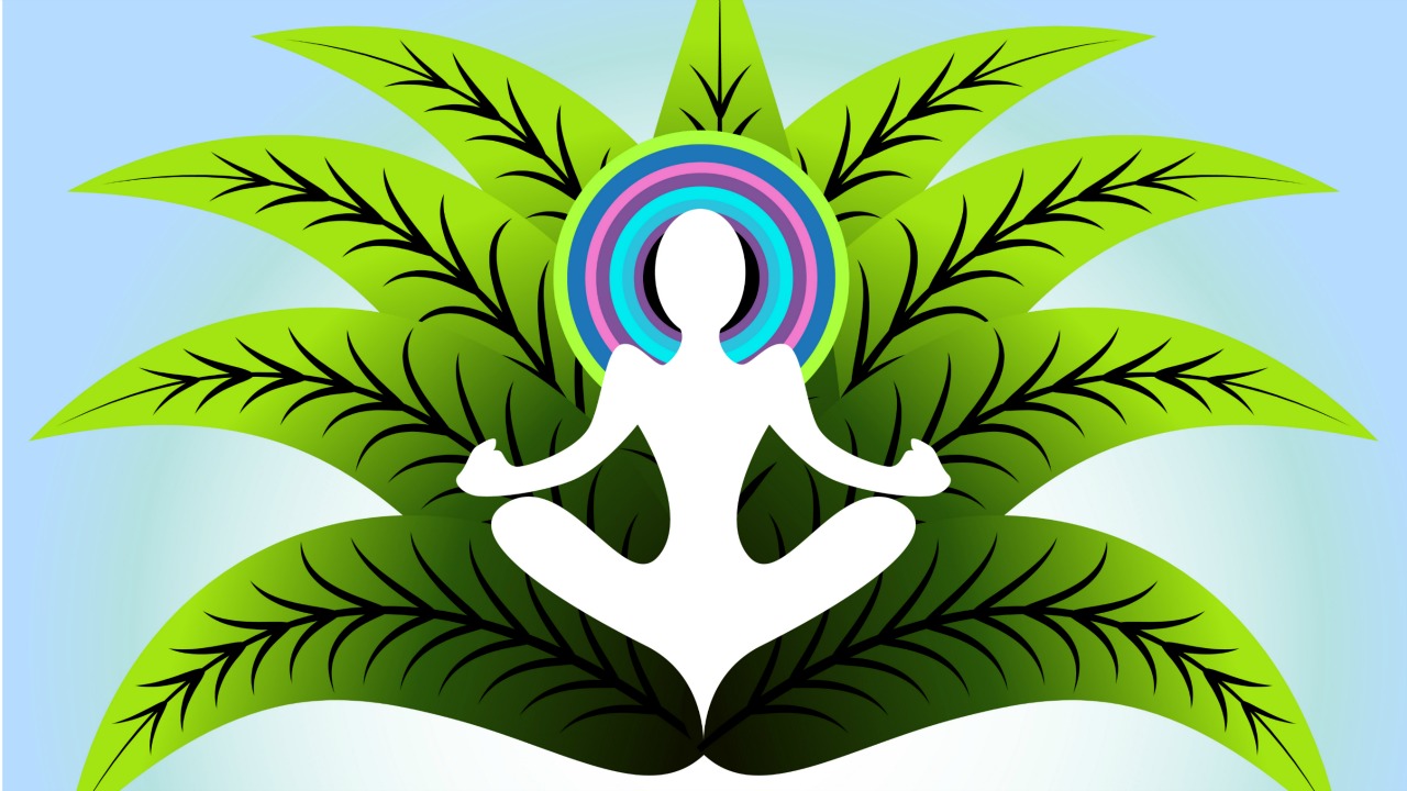 Transandantal meditasyon ve ötesi: Aydınlanma