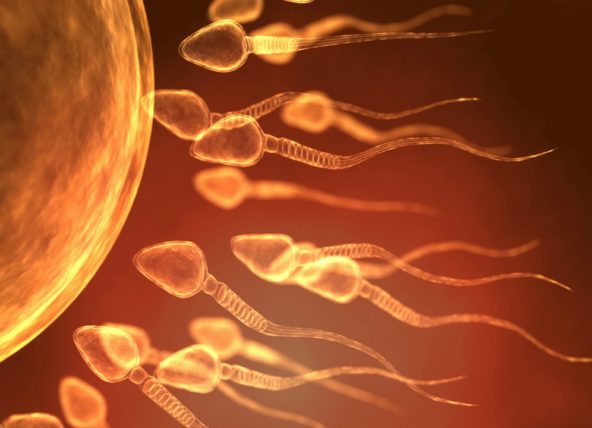 Buyuk burnida jinsiy aloqa 2 Dadam qizini sikdi porno ru