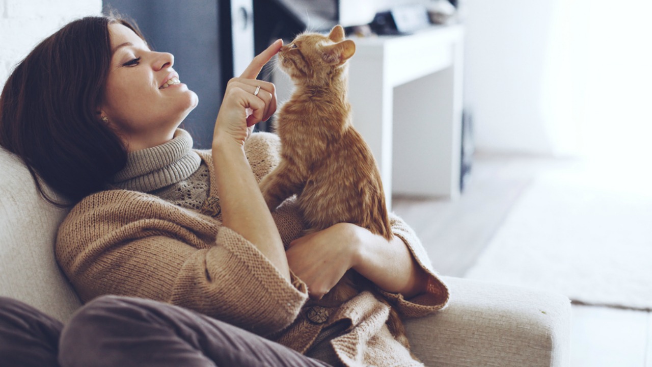 kedi beslemenin faydalari mujde kediler sagliga iyi geliyor uplifers