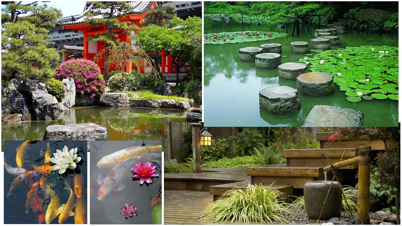 japon bahçesi tasarımı
