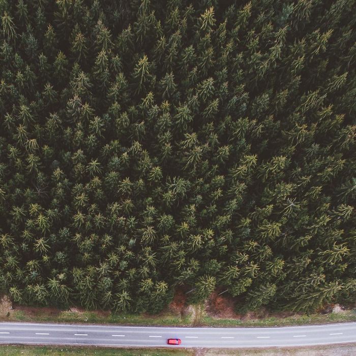 16-year-old-nature-photographer-jannik-obenhoff-22-57c9398eb5399__700