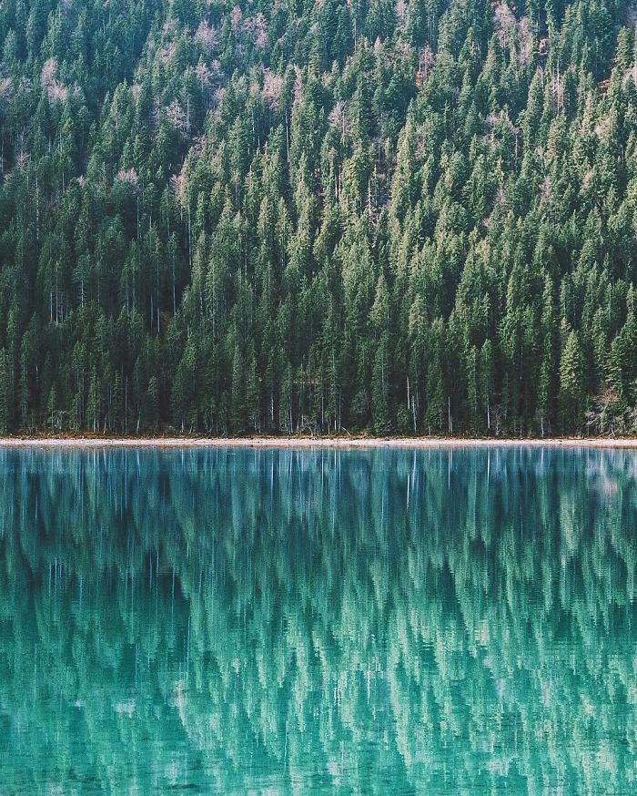 16-year-old-nature-photographer-jannik-obenhoff-25-57c9399898db6__700