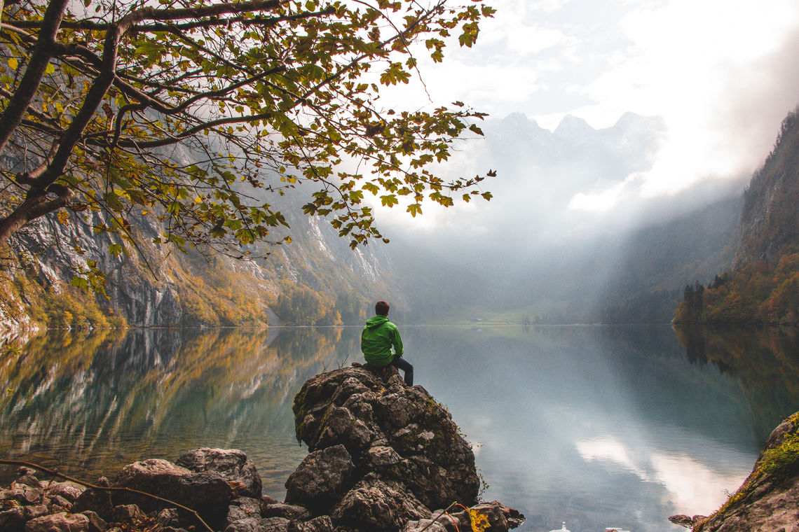 365123529985414672-img-6586.full