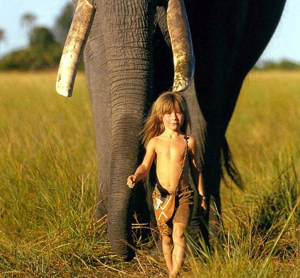 real life mowgli tippi degre african wildlife  e