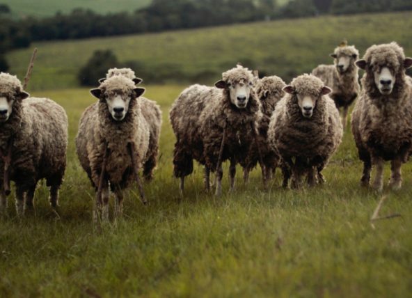 Zihnin kör, sağır ve hissiz olma hali "aphantasia" nedir? - Uplifers