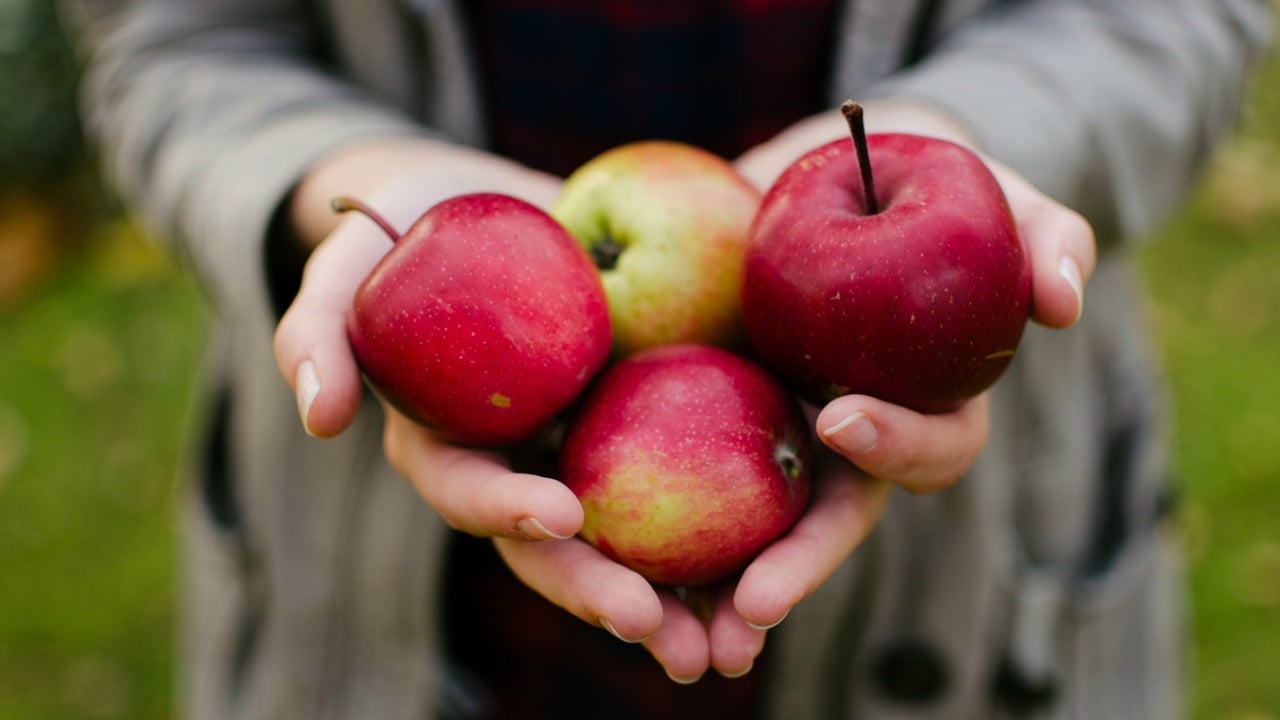 renklerle beslenin elma