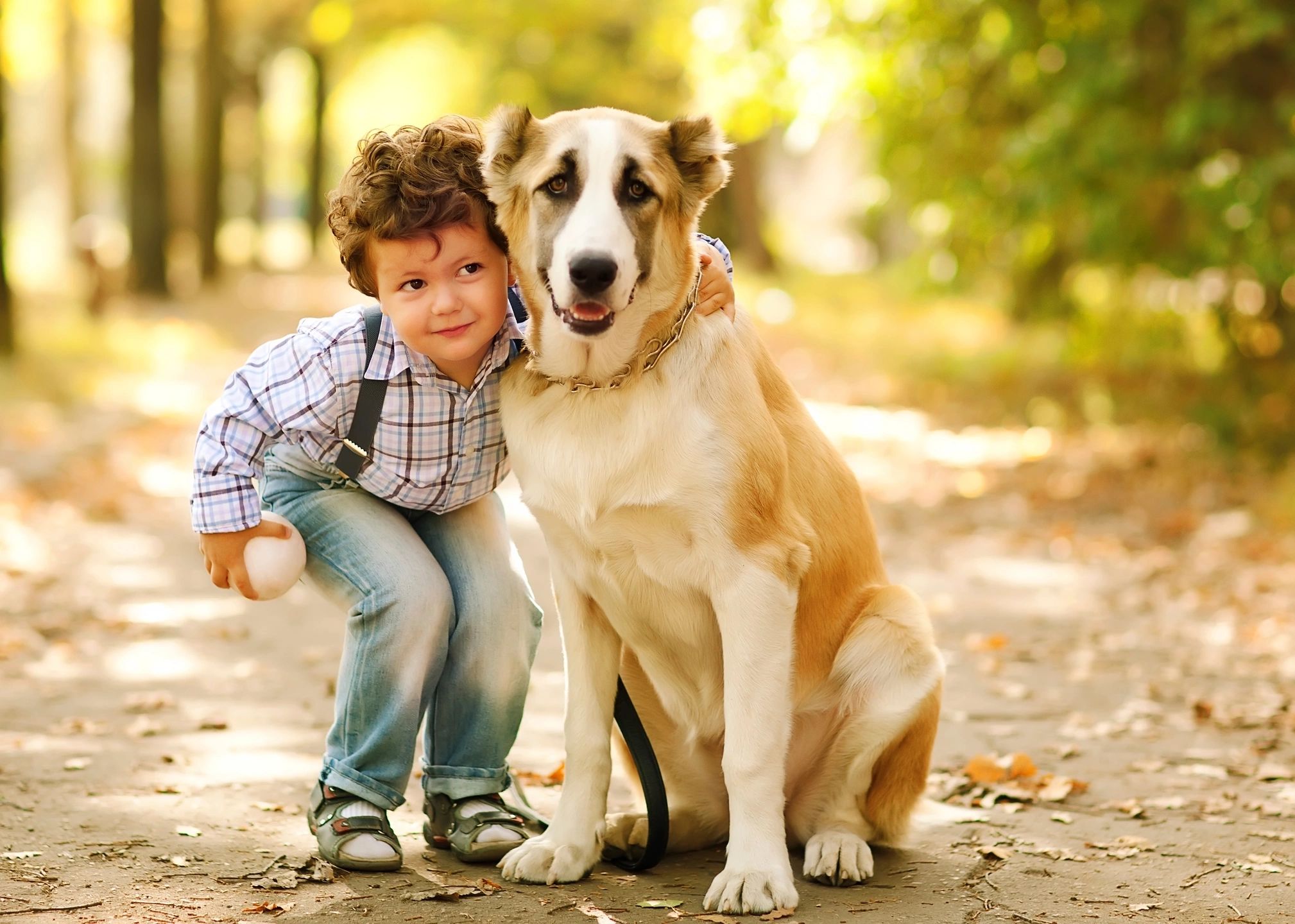 Мальчик играющий с собакой. Собака для детей. Мальчик с собакой. Люди и животные. Щенок мальчик.