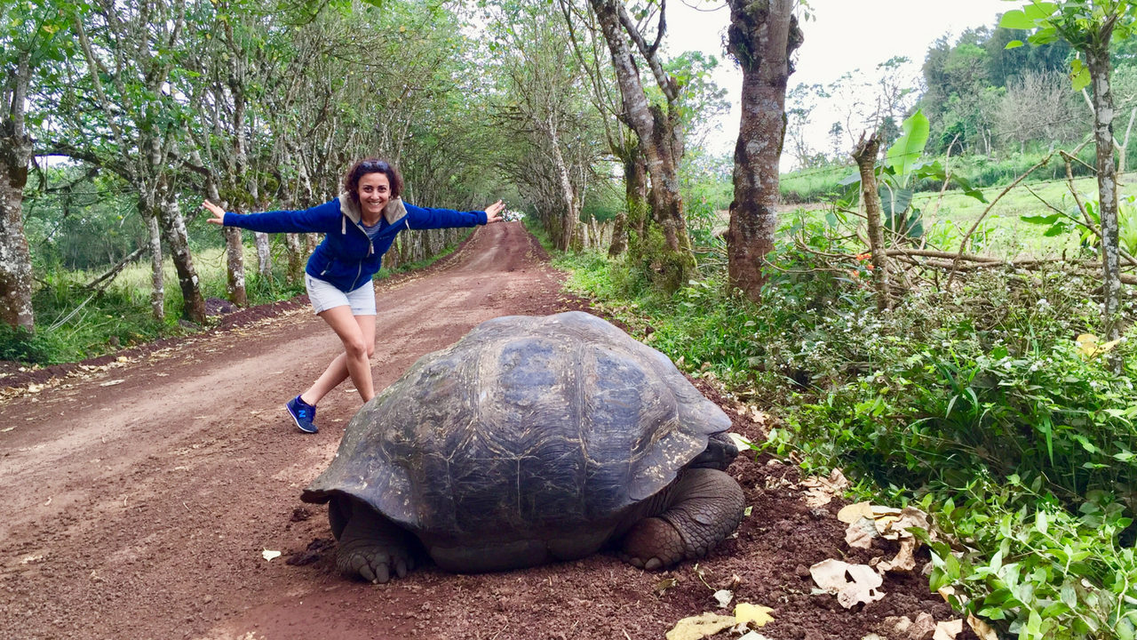 Dünyanın kalbinden çıkan ateş parçaları: Galapagos Adaları | Uplifers