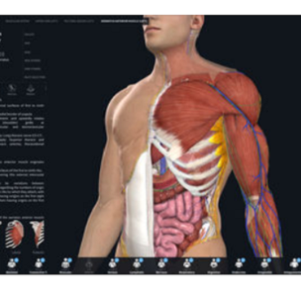 Augmented reality essential anatomy - Flexcurrent
