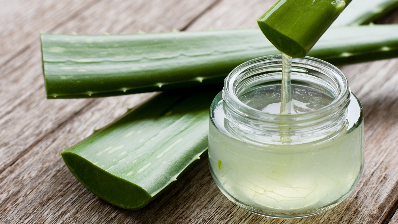 Aloe vera yenir mi? - Uplifers