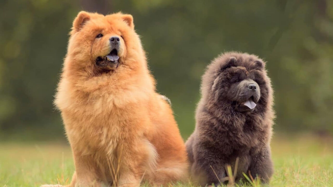 Rus ona porno videolarni tomosha qiling Ota va qizlar ortasidagi qattiq jinsiy aloqa