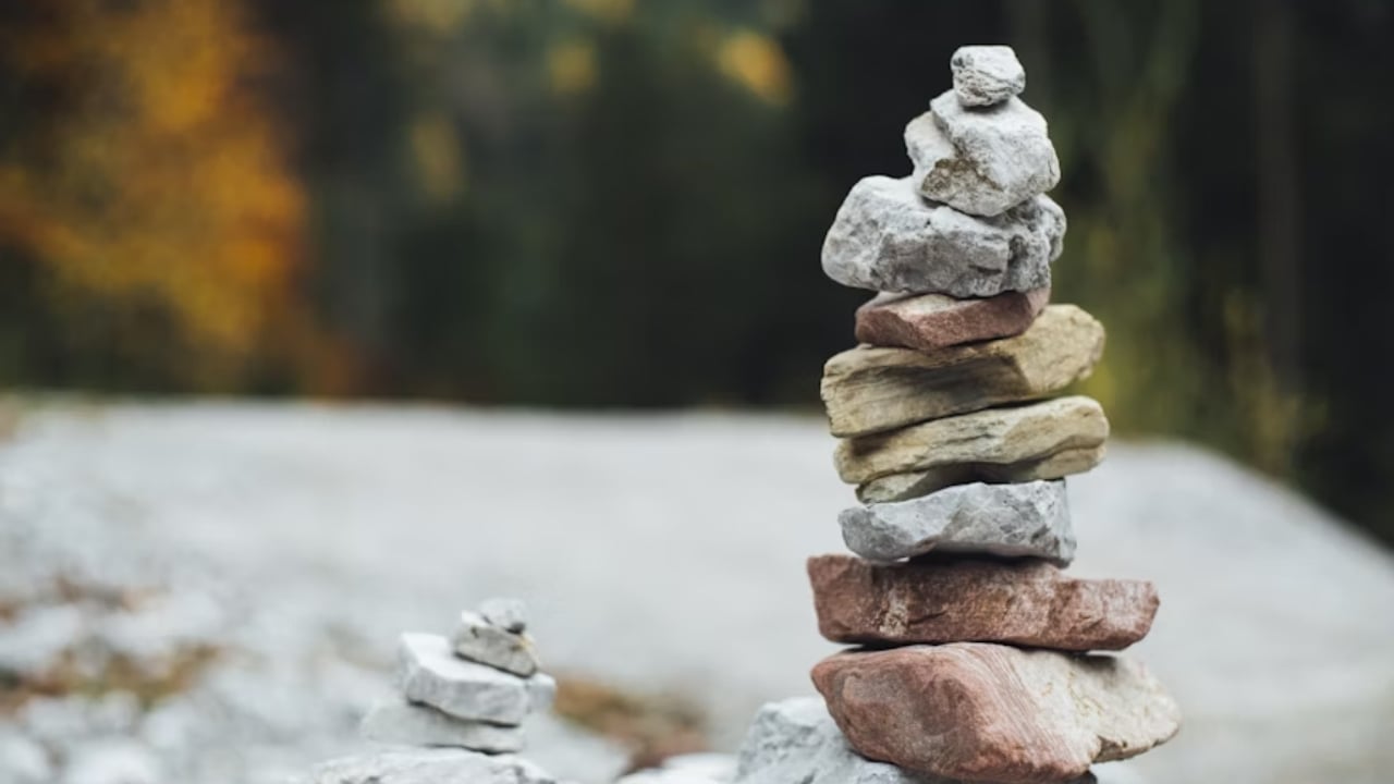 Hayatta kalan yanılgısı: Neden hep başarılı olanların hikayesini duyuyoruz?