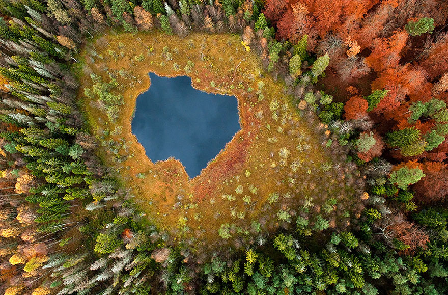 Orman Gölü, Polonya