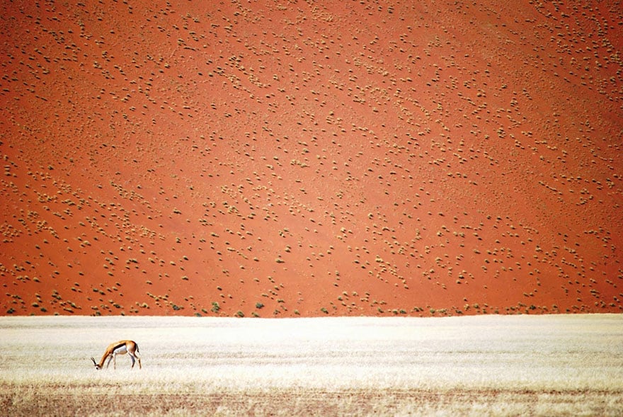 Namibya Çölü, Namibya