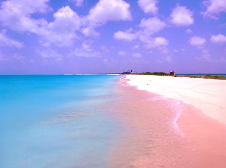 Pembe kumlu plaj, Bahamalar