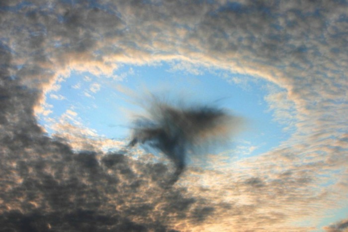 fallstreak avusturya