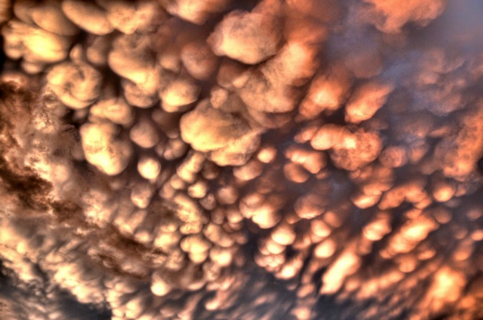 hdr mammatus nyc