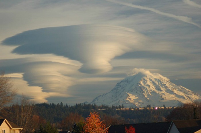 lenticulars washington