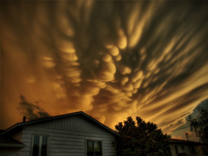mammatus quebec