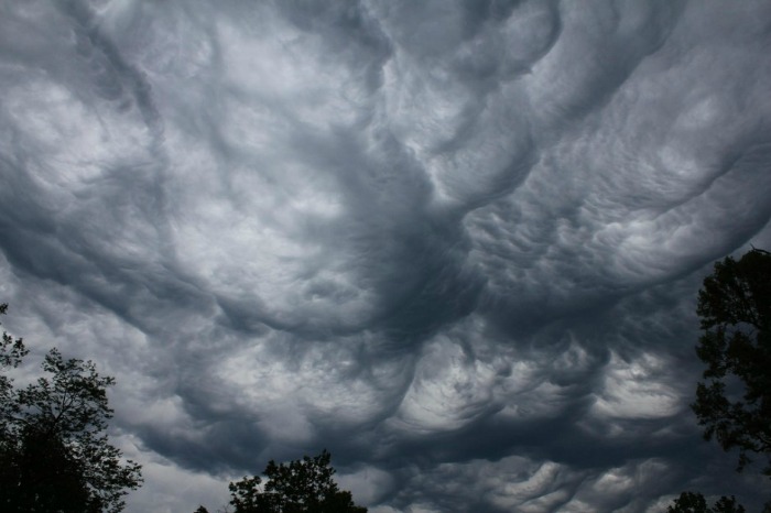 mammatus salem