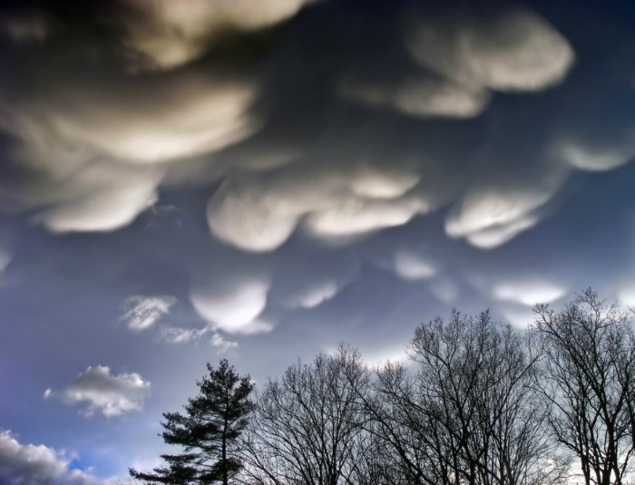 mammatus saylorsburg
