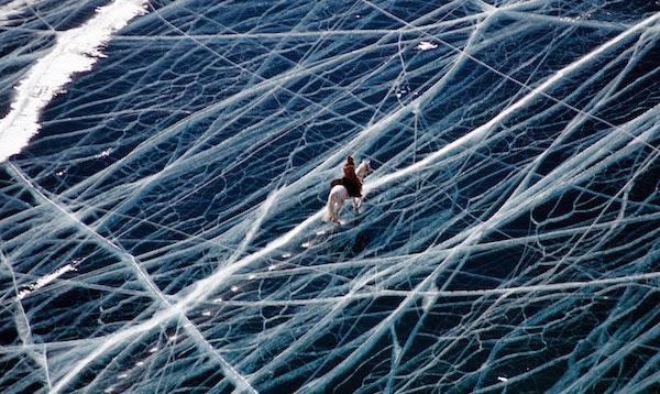 Donmuş okyanus üzerinde giden at