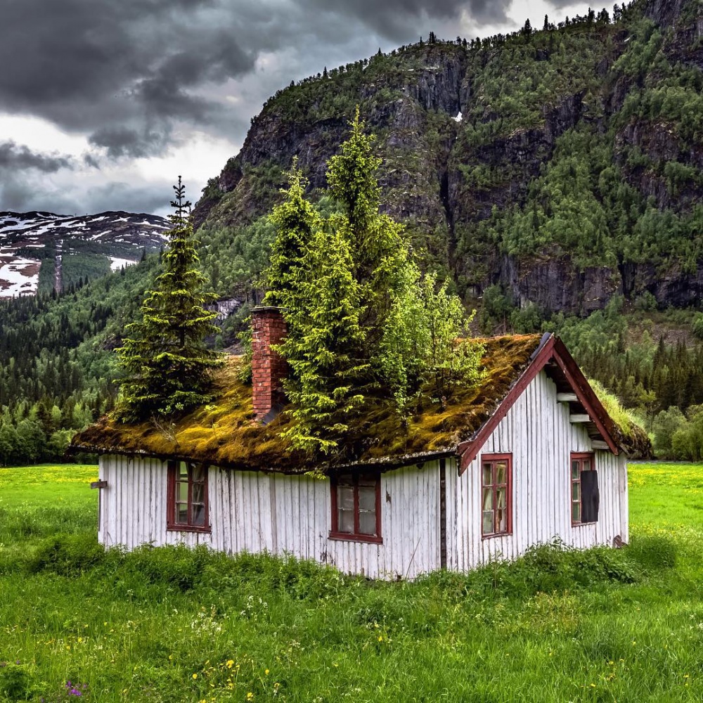 Terk edilen ev, Norveç