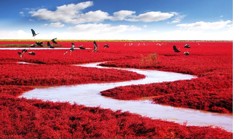 Kırmızı Kumsal, Çin