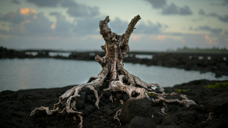 İnsanların düşünme biçimlerini baştan aşağı değiştiren 20 söz