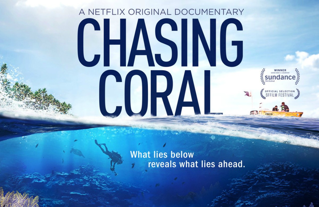 chasing coral belgesel