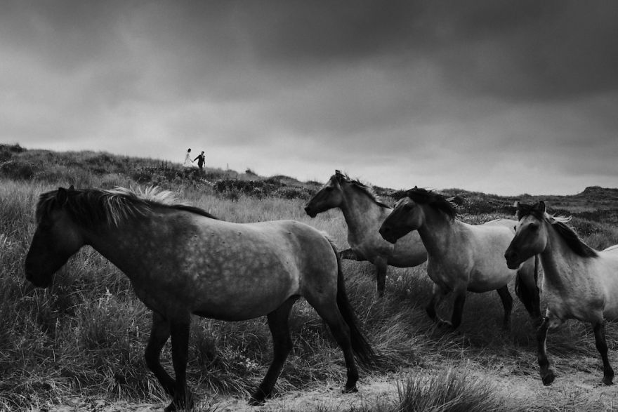 Bloemendaal Aan Zee, Hollanda
