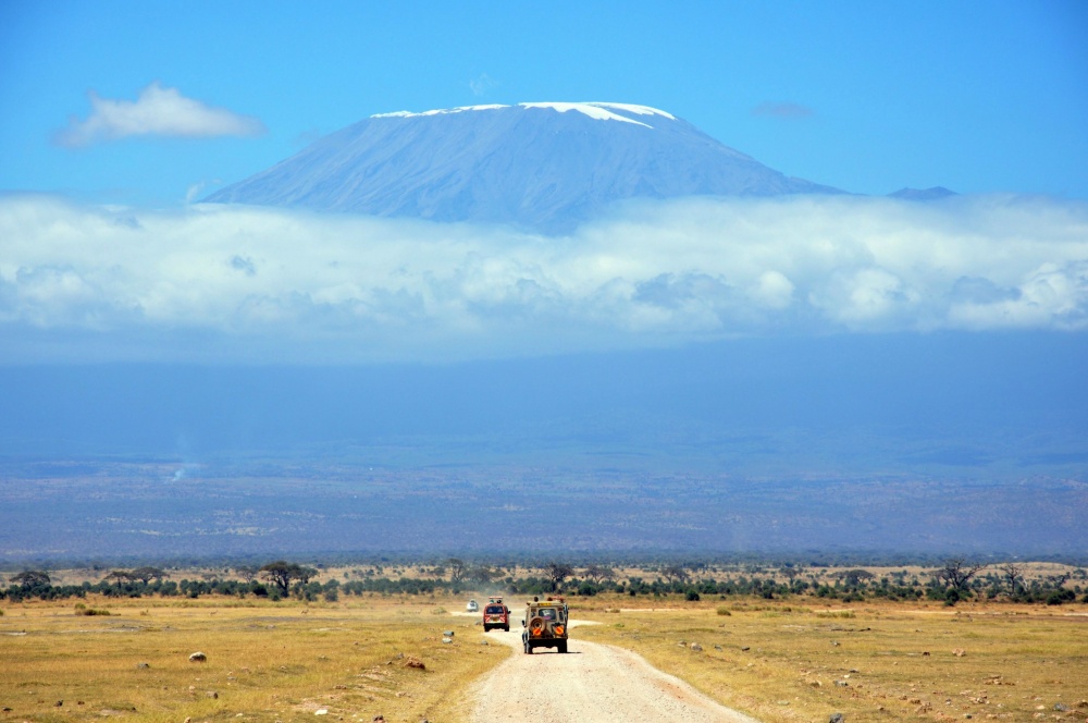 Kilimanjaro Dağı, Tanzanya