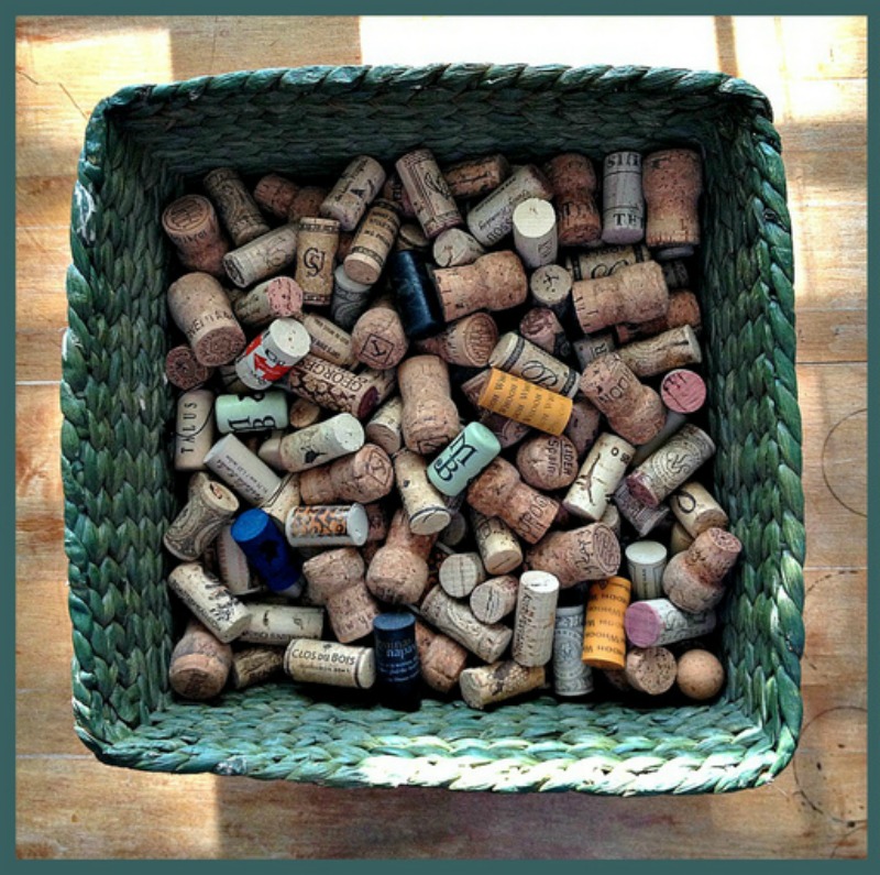 isvicre duzenleme sanati mantar