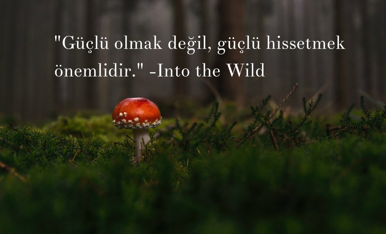 motivasyon cumleleri