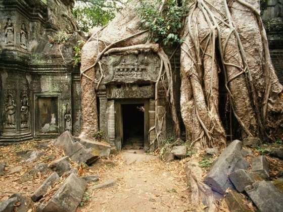 ta-prohm-temple-angkor-wat