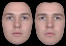 Aynı yüzün feminen(sol) ve maskülen(sağ) görünümleri