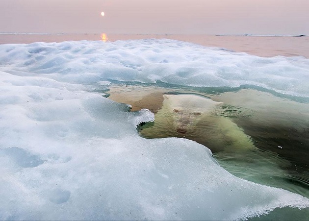 National Geographic'den 2013'ün En iyileri