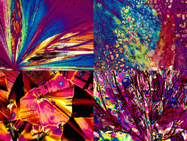 İçkilerin Mikroskoptaki Görüntüleri