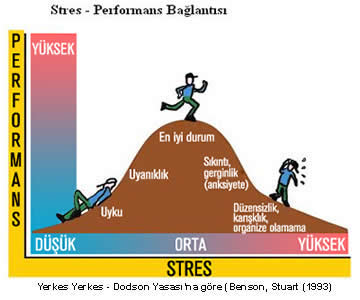 stres performans