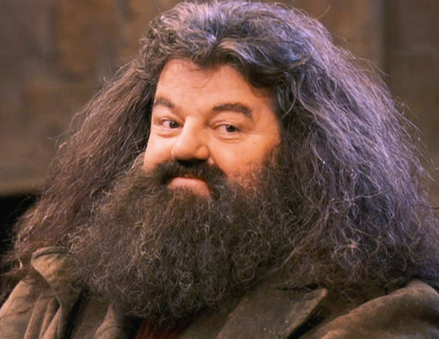 sakallı hagrid