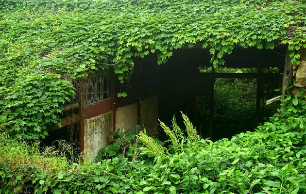 Doğanın yeşile boyadığı terkedilmiş bir köy: Shengsi