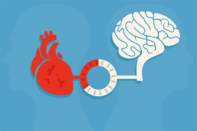 Beyin kalp işbirliği