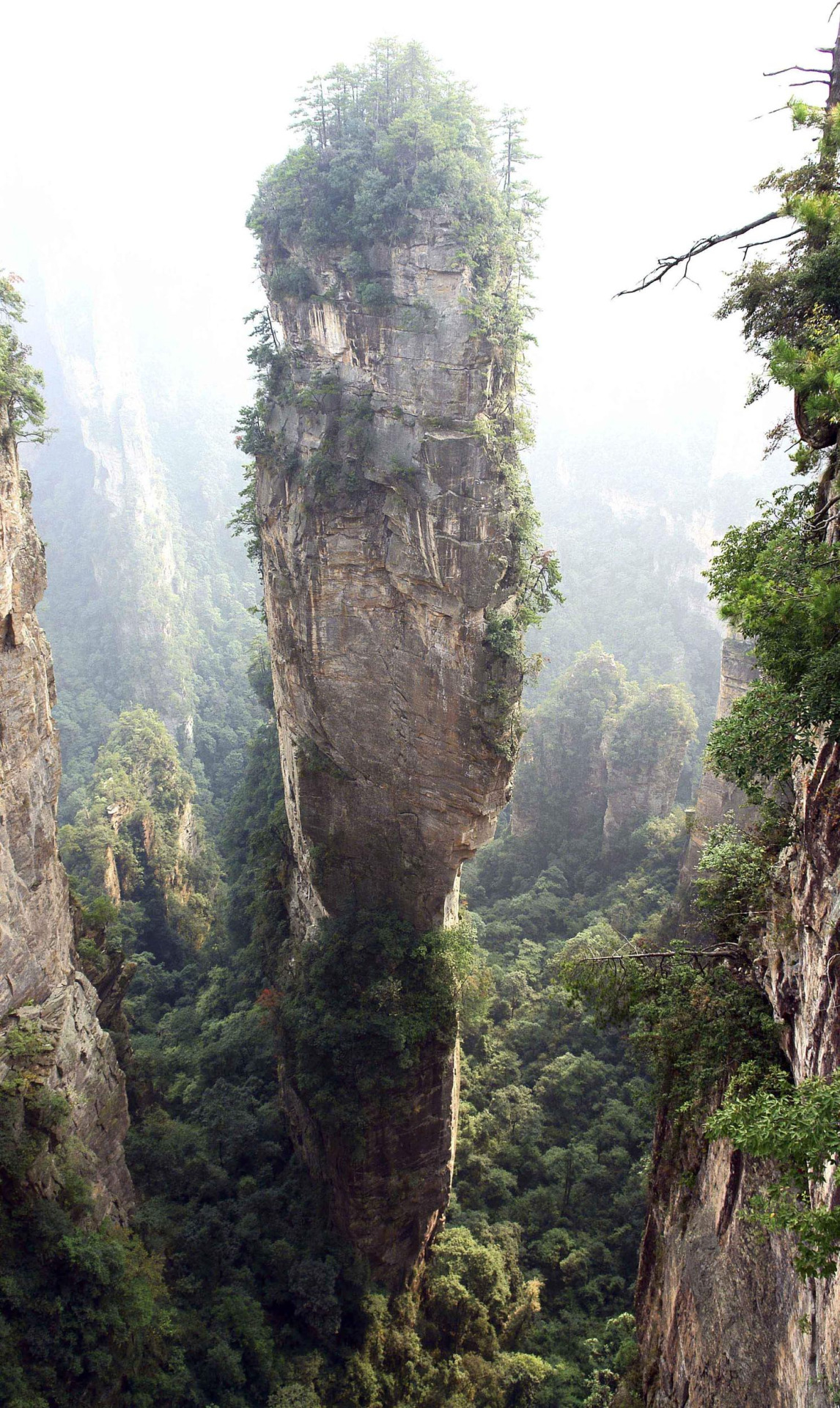 21 Zhangjiajie National Forest Park çin