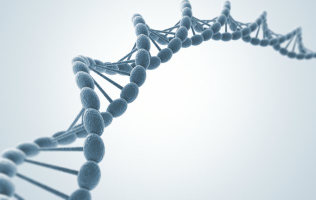 Anıların DNA aracılığı ile aktarıldığı bilimsel olarak kanıtlandı