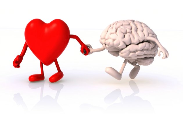 İkinci beynimiz: Kalbin zekası