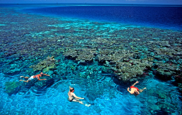 Belize Barrier Reef