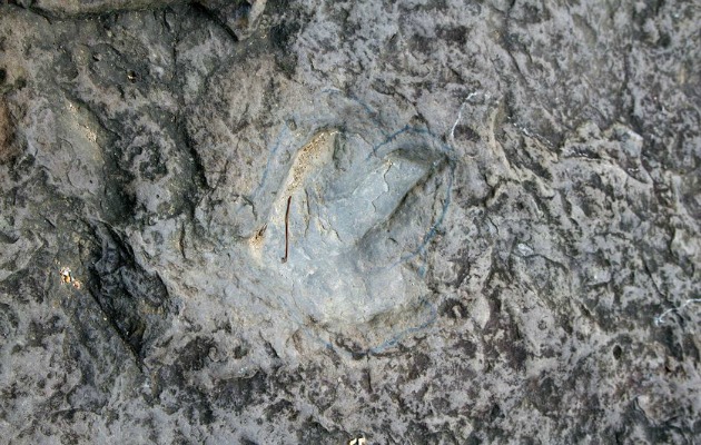 Dinosaur Footprints Wilderness Reservation, Massachusetts