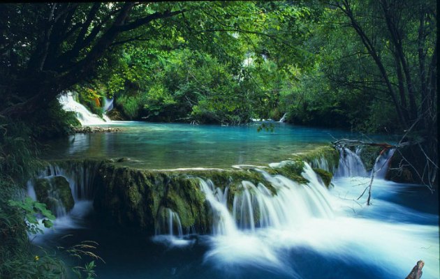 Doğa içinde huzuru bulabileceğiniz bir yer: Plitvice Gölü Milli Parkı